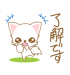 にゃんこ日和(ペルシャ猫)-toYvu-（個別スタンプ：13）