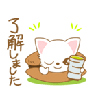 にゃんこ日和(ペルシャ猫)-toYvu-（個別スタンプ：14）