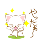 にゃんこ日和(ペルシャ猫)-toYvu-（個別スタンプ：26）