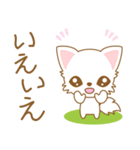 にゃんこ日和(ペルシャ猫)-toYvu-（個別スタンプ：27）