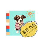わんちゃんの癒される韓国語と日本語（個別スタンプ：3）