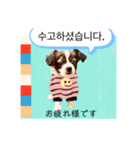 わんちゃんの癒される韓国語と日本語（個別スタンプ：9）