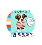 わんちゃんの癒される韓国語と日本語（個別スタンプ：10）
