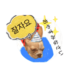 わんちゃんの癒される韓国語と日本語（個別スタンプ：12）