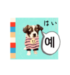 わんちゃんの癒される韓国語と日本語（個別スタンプ：15）