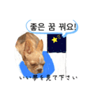 わんちゃんの癒される韓国語と日本語（個別スタンプ：17）