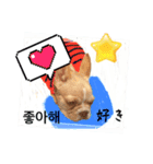 わんちゃんの癒される韓国語と日本語（個別スタンプ：20）