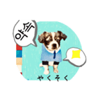 わんちゃんの癒される韓国語と日本語（個別スタンプ：21）