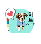わんちゃんの癒される韓国語と日本語（個別スタンプ：22）