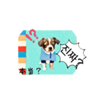 わんちゃんの癒される韓国語と日本語（個別スタンプ：24）