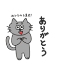 キホンのネコ（個別スタンプ：5）