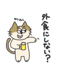 キホンのネコ（個別スタンプ：6）