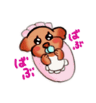 もふもふトイプードル！チャコちゃん その3（個別スタンプ：28）