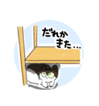 猫のせいちゃんの日常スタンプ（個別スタンプ：15）