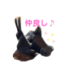 でめ子の日常スタンプ。（自分用）（個別スタンプ：7）
