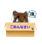 ハムスターのリックたん。（個別スタンプ：6）