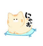 トドねこ2（個別スタンプ：1）