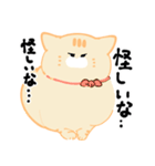 トドねこ2（個別スタンプ：13）