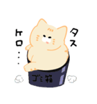 トドねこ2（個別スタンプ：14）