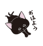 にゃんちょこりん(黒猫)（個別スタンプ：1）