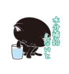 にゃんちょこりん(黒猫)（個別スタンプ：11）
