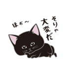 にゃんちょこりん(黒猫)（個別スタンプ：12）