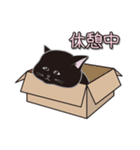 にゃんちょこりん(黒猫)（個別スタンプ：21）
