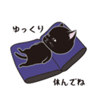 にゃんちょこりん(黒猫)（個別スタンプ：29）