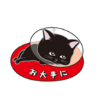 にゃんちょこりん(黒猫)（個別スタンプ：30）