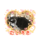 にゃんこちゃん20（個別スタンプ：4）