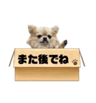 ロイ＆シェリ③（個別スタンプ：3）