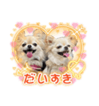ロイ＆シェリ③（個別スタンプ：9）