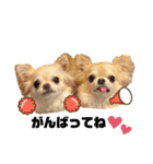 ロイ＆シェリ③（個別スタンプ：10）