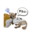 ロイ＆シェリ③（個別スタンプ：19）