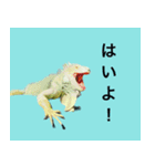 イグアナのオルフェ2023夏（個別スタンプ：4）
