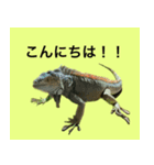 イグアナのオルフェ2023夏（個別スタンプ：14）