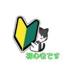 カオスな日常みゅうCats（個別スタンプ：1）