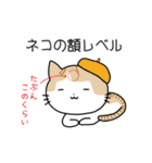 カオスな日常みゅうCats（個別スタンプ：5）