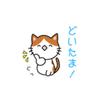 カオスな日常みゅうCats（個別スタンプ：36）