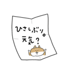 飛び出す！柴犬しばわんからの手紙（個別スタンプ：18）