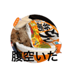 ドジっ子みーちゃん（個別スタンプ：2）