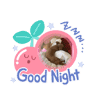 ドジっ子みーちゃん（個別スタンプ：3）