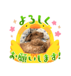 ドジっ子みーちゃん（個別スタンプ：6）