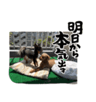 ドジっ子みーちゃん（個別スタンプ：8）