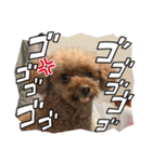 ドジっ子みーちゃん（個別スタンプ：10）