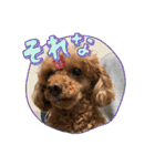 ドジっ子みーちゃん（個別スタンプ：11）