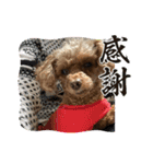 ドジっ子みーちゃん（個別スタンプ：12）