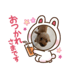 ドジっ子みーちゃん（個別スタンプ：15）