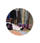 実用性重視のスタンプ、、。、（個別スタンプ：5）