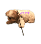 あぽろくんのすたんぷ。（個別スタンプ：10）